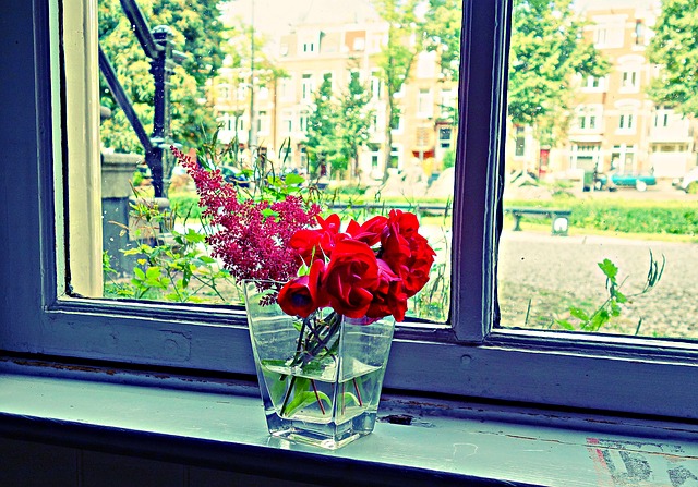 květina ve váze na okně.jpg